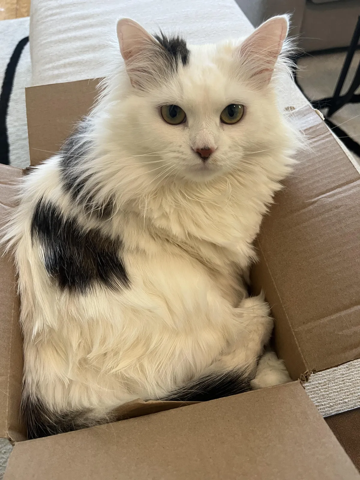 If it fits, it ships