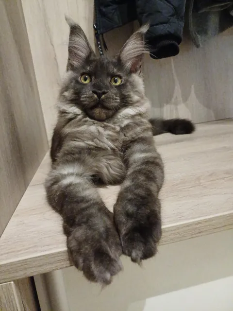 Théoden turned 6 months old