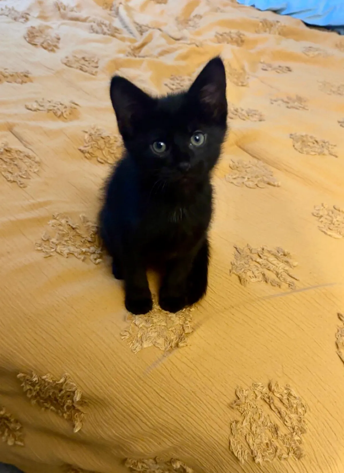 This boy has my entire heart🥰