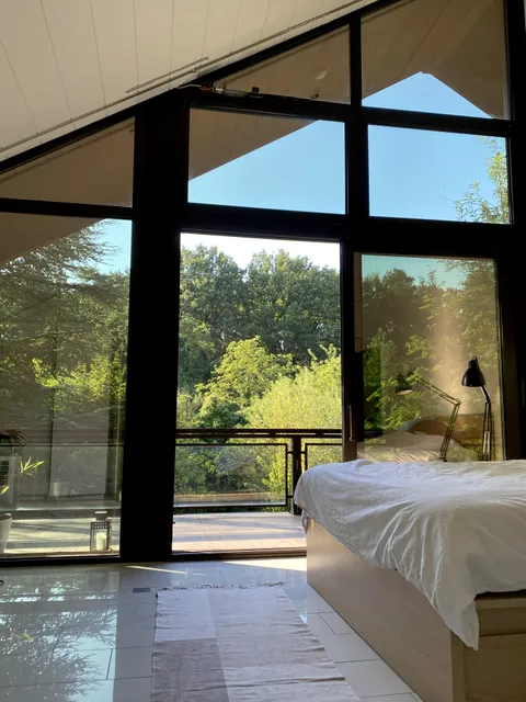 Forest view from bedroom 🌳 