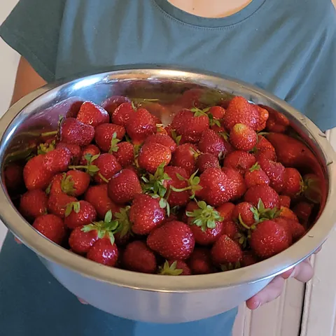 A life goal achieved, just a boast