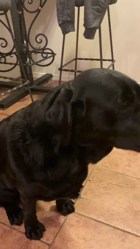 Those initial looks of disappointment, followed by pure joy!