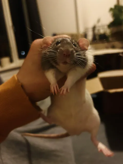 This should be illegal