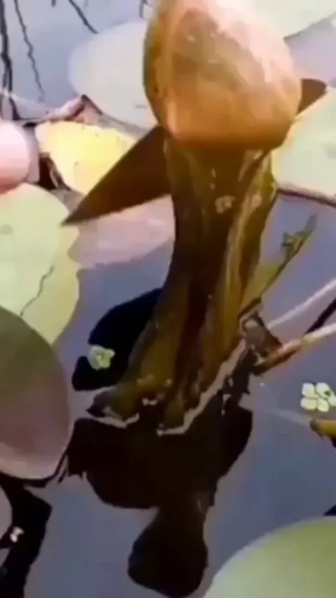 Get rid of the things that limit yourself.