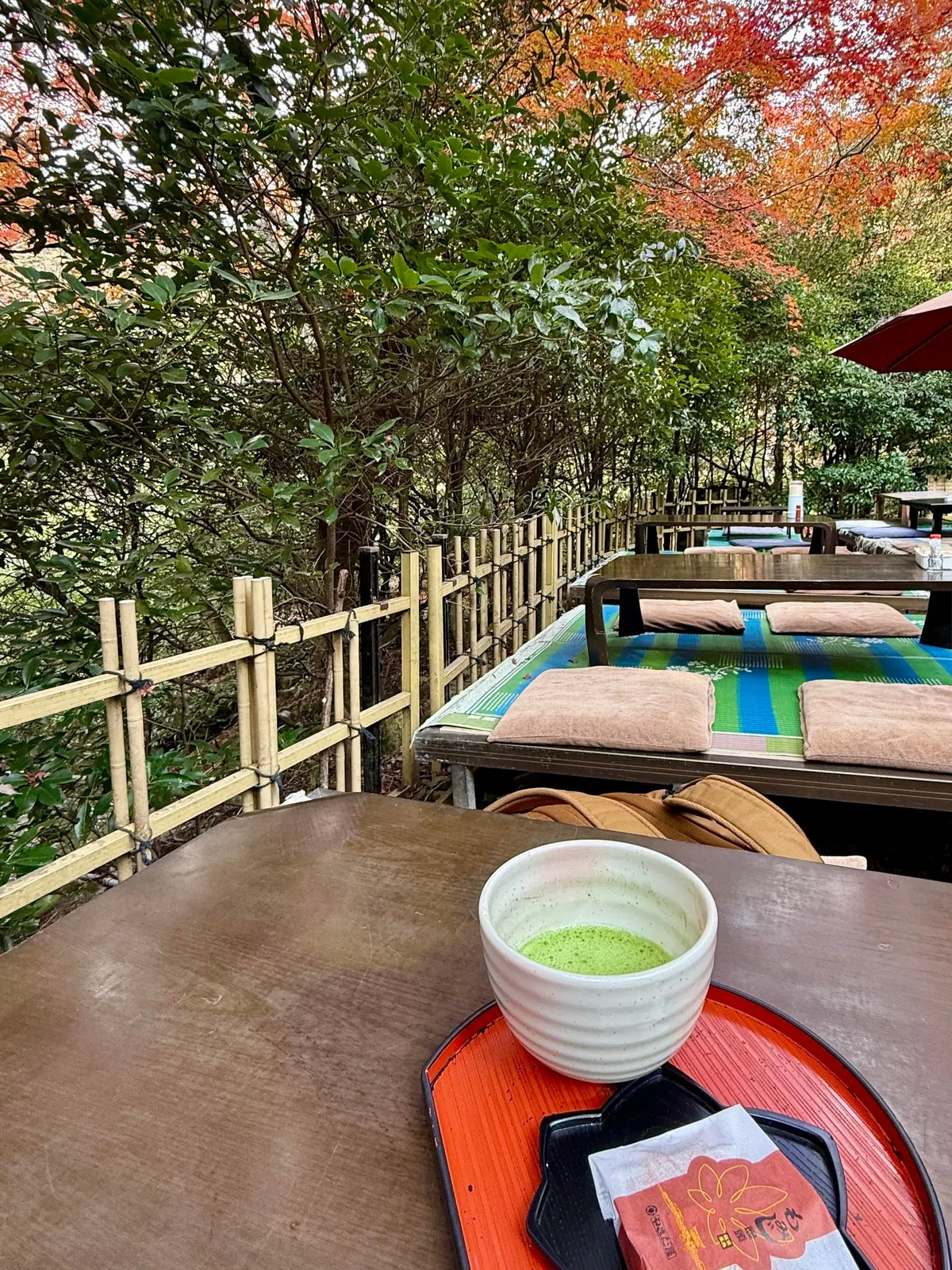 Japan in fall 🍁⛩️🚴‍♀️