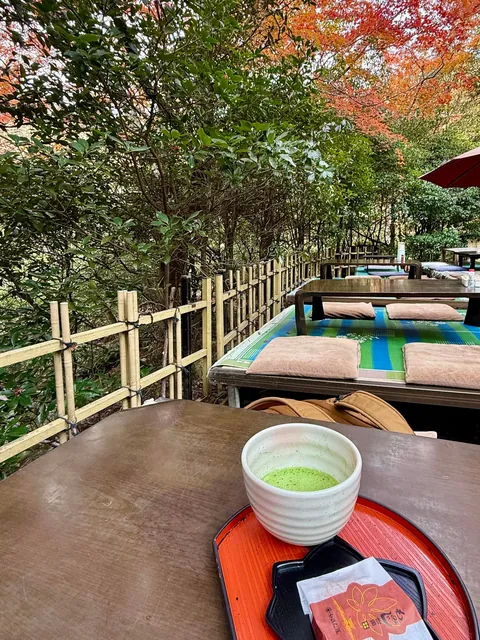 Japan in fall 🍁⛩️🚴‍♀️