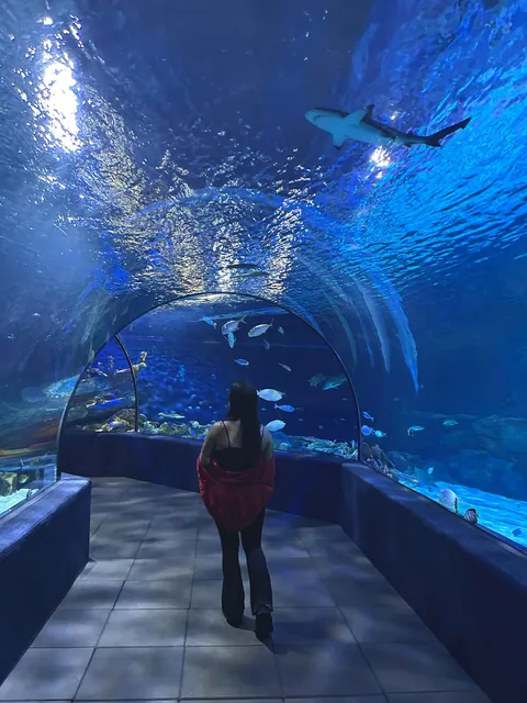 2 weeks in Cambodia 🇰🇭