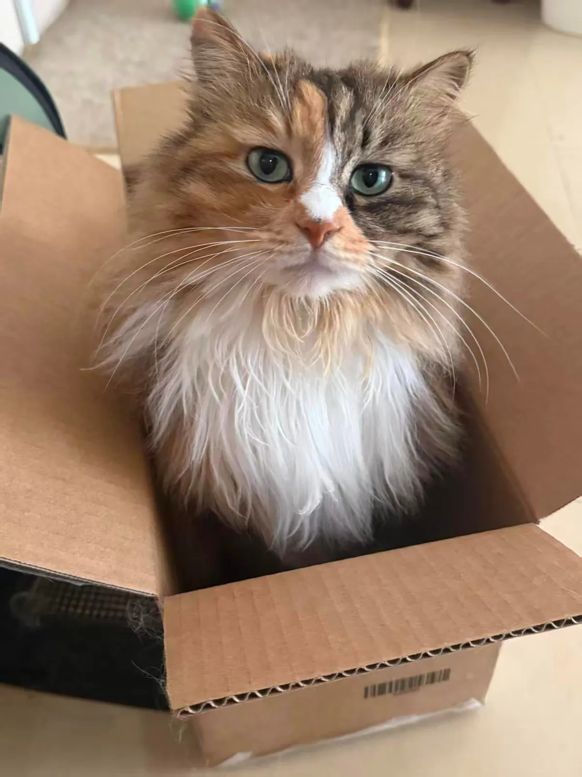 My girl being very upset when I need to go for work