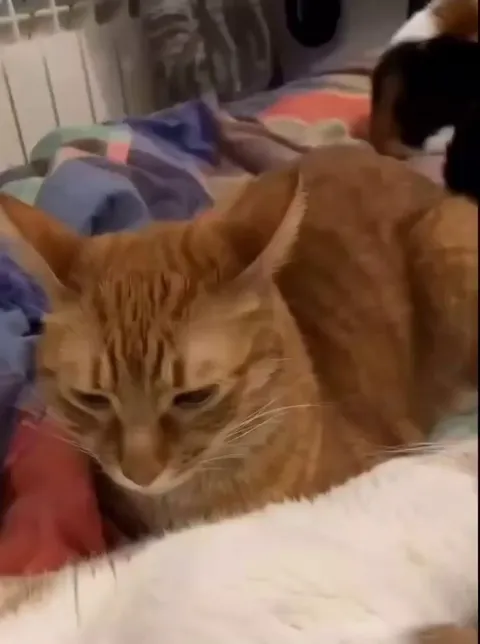 "Really? Was that necessary?"