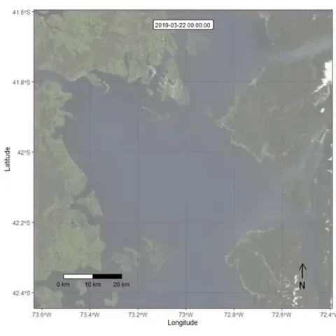 A tagged whale navigates intense vessel traffic in Chile's Gulf of Ancud over one week, highlighting the risks whales face from ship congestion.