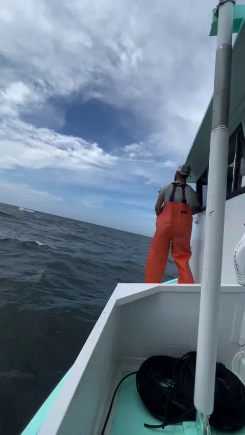 The last thing you'll expect to see floating on the ocean.