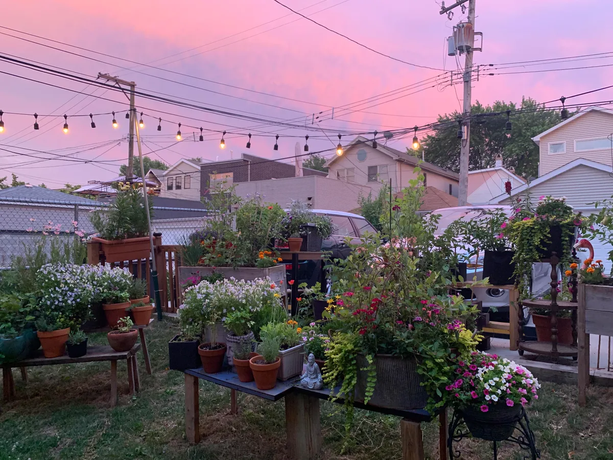 Long time lurker. I wanted to share my garden. It makes me so happy!