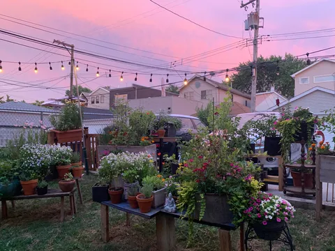 Long time lurker. I wanted to share my garden. It makes me so happy!