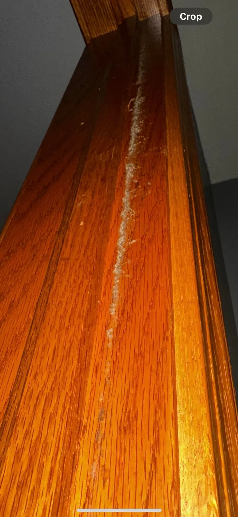 Moved into our “dream home” before closing… to discover it’s a moldy nightmare