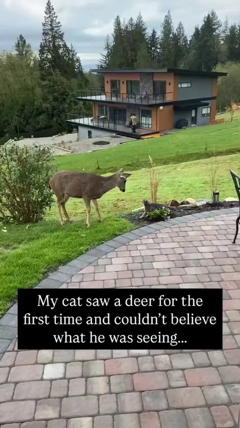 "Anyone else seeing this?" 🤣