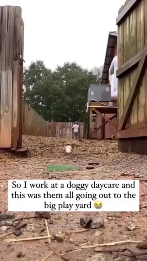 There's always that one.