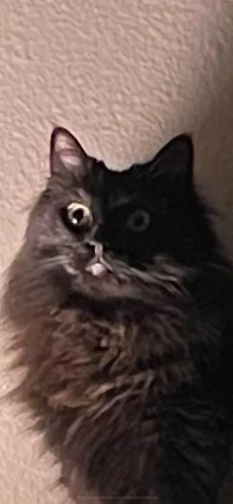 I request the spookiest pic you have