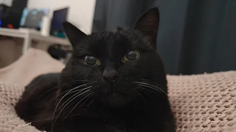 My void is 18 today, gonna buy some fish for her <3