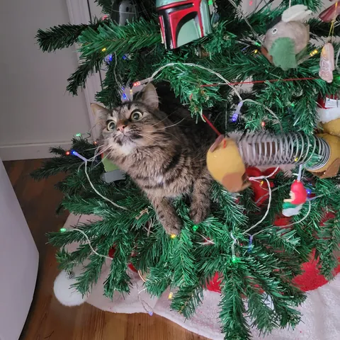 Full destruction followed a minute later.