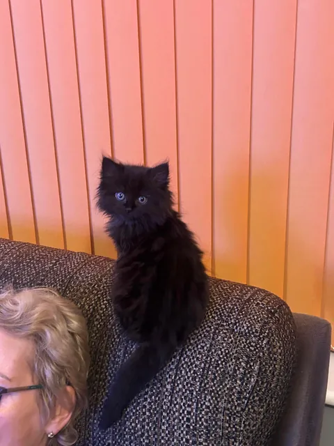 Can you believe this cutie wasn’t wanted!