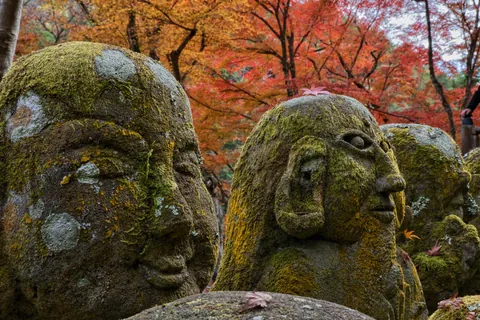 Japan in Late November