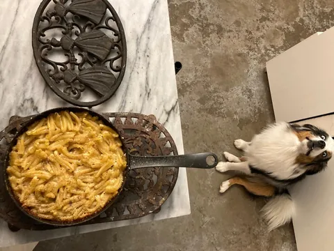 [Homemade] Mac and Cheese, in a wood oven