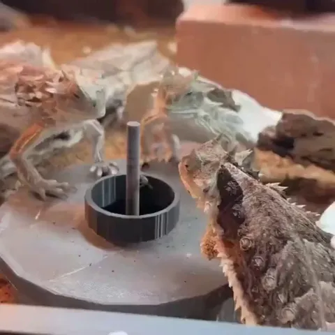 The face says it all.. 😂