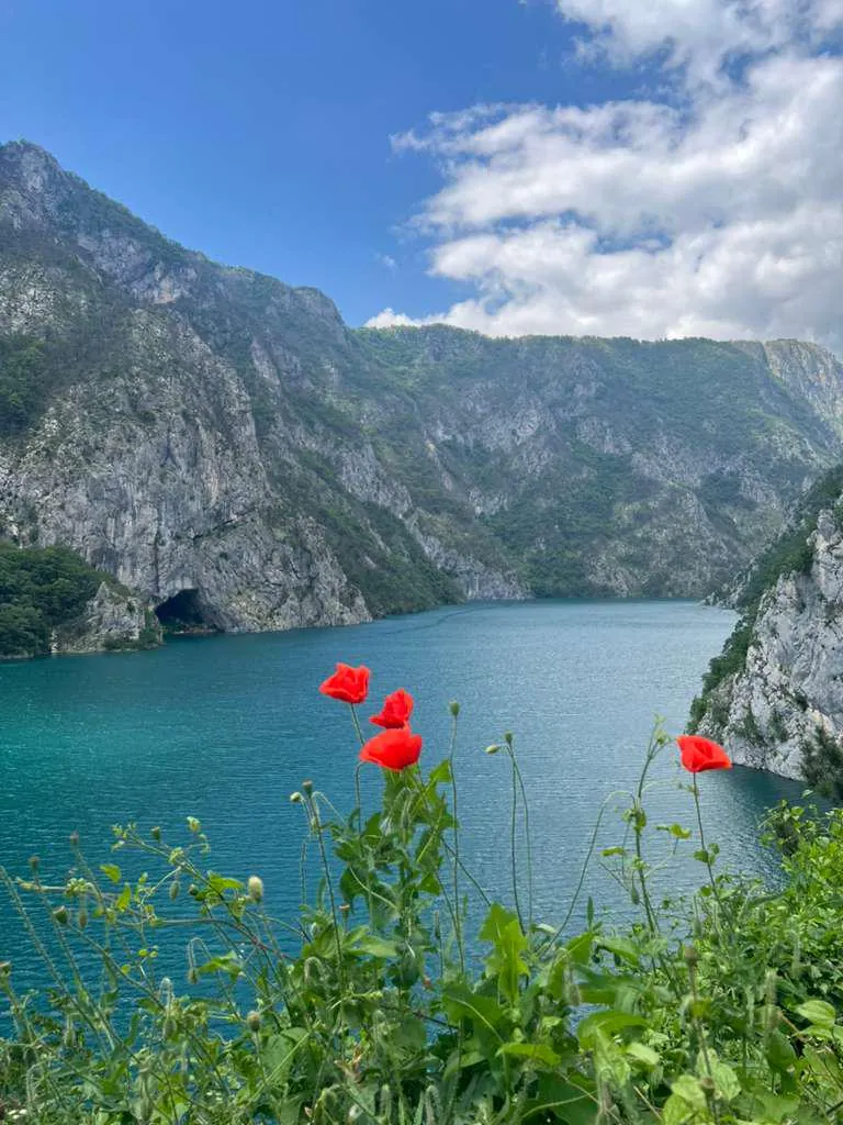 [OC] Red poppies overlooking a turquoise lake in Bosnia and Herzegovina