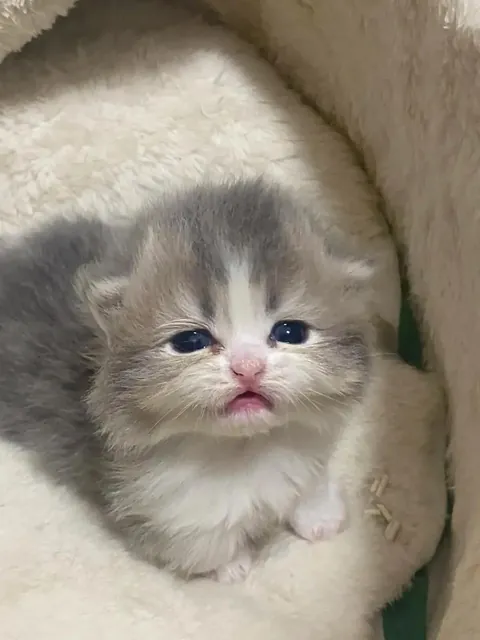 Aww !!can't take my eyes off this cutie