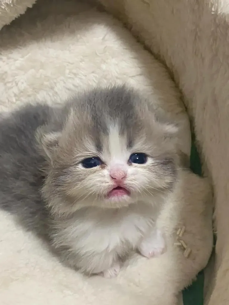 Aww !!can't take my eyes off this cutie