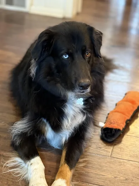 My boi doin’ a handsome