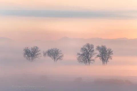 🔥Foggy Landscapes