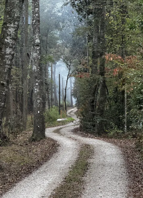 ITAP of a dirt road