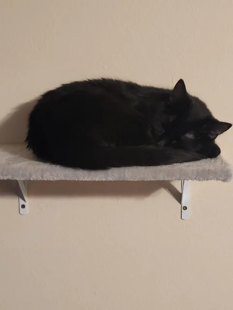 She looked so cute I just had to take a picture, but I accidentally woke her 😅