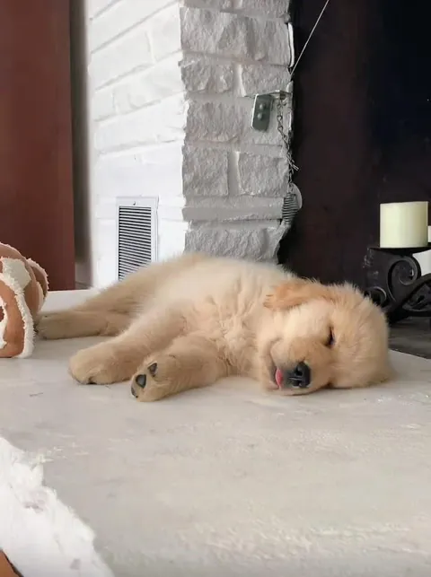 Andy says just 5 more minutes 😍