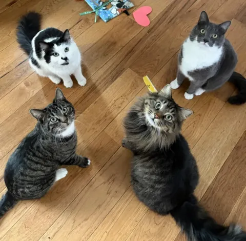 Look at these gossiping