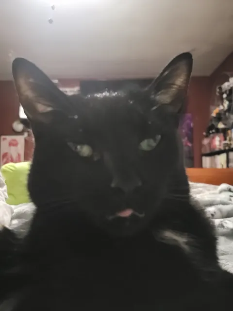 He's trying to have a thought