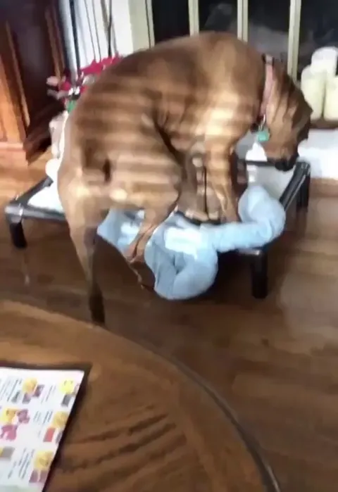 But dis bed is mine bed