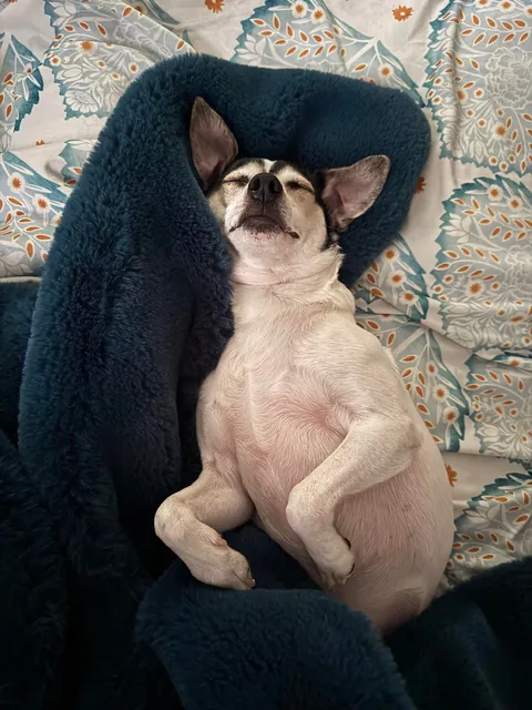 I look up from my phone to see Milo airing out his peets