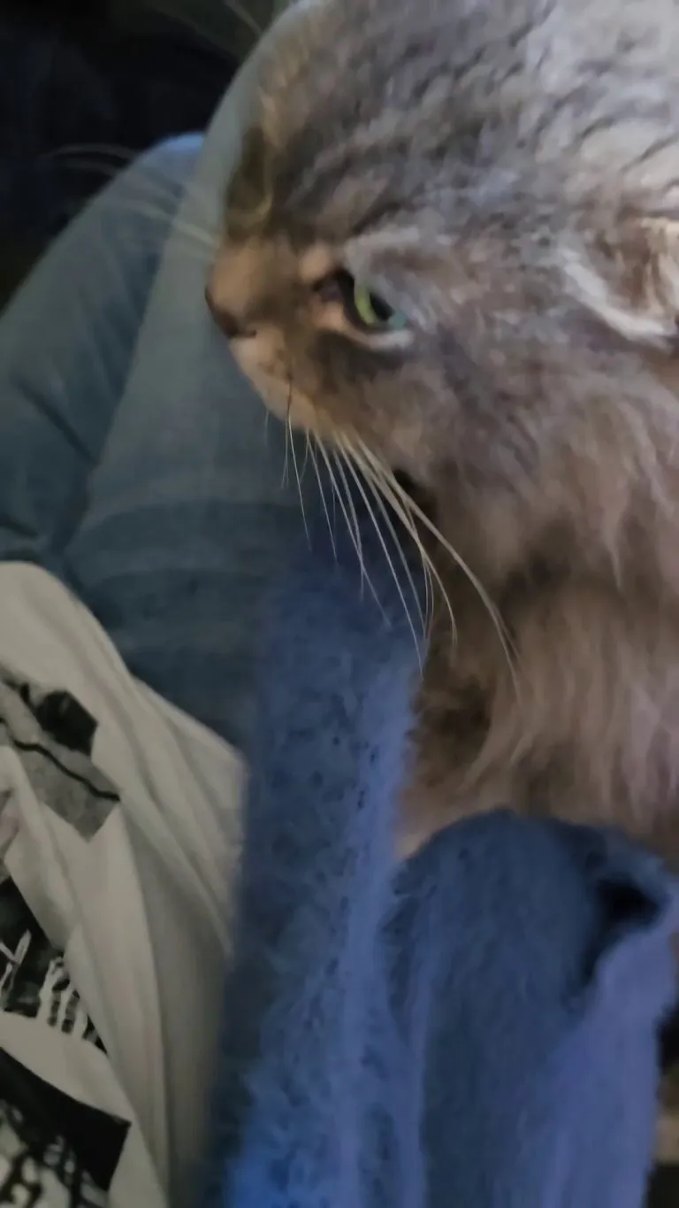 When your cat mixes up your fur with his 😆