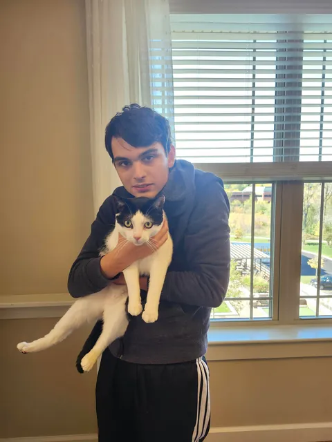 This is max, he is the cat of an old lady i deliver packages too. He is also incredibly friendly.