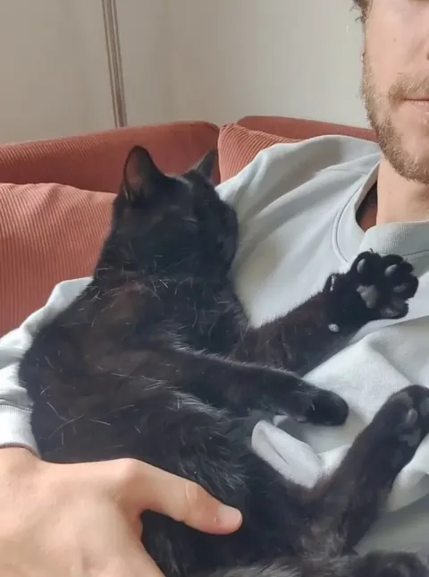 Cuddly morning and air biscuits 🖤