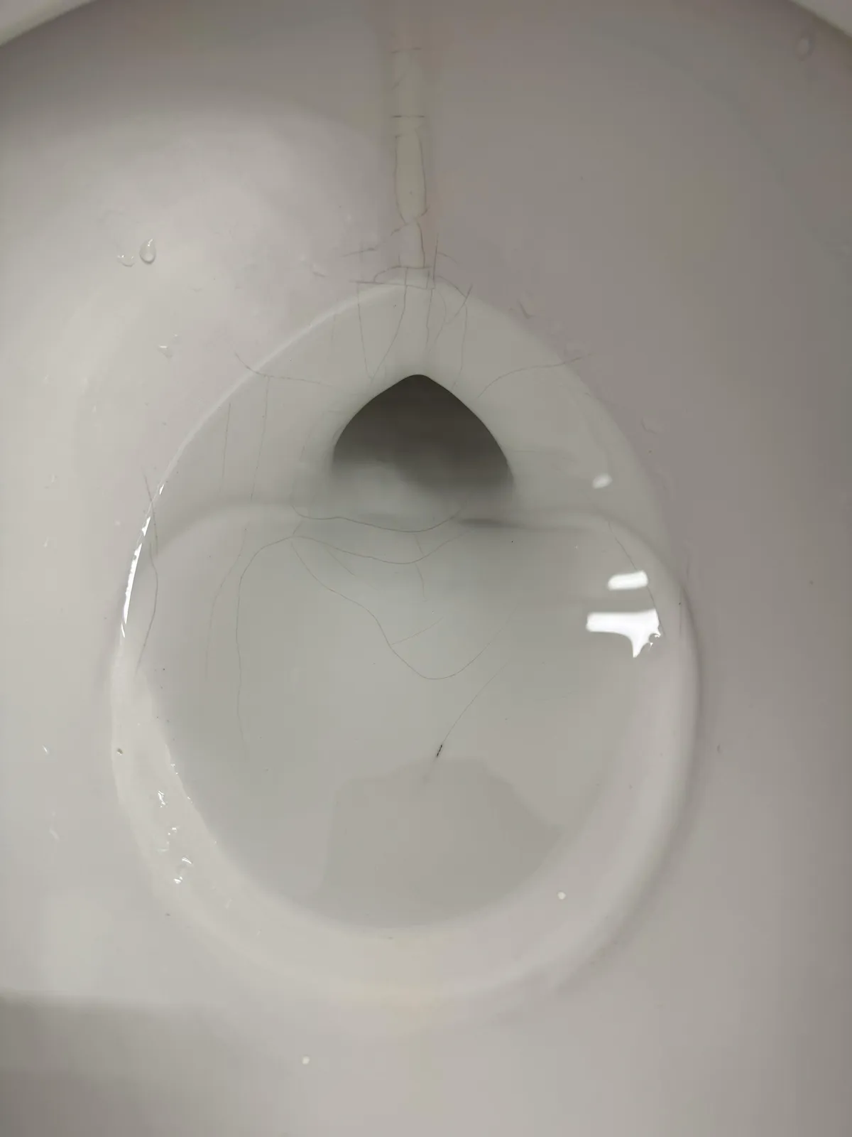 Cracked Toilet? Am I In Danger