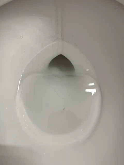 Cracked Toilet? Am I In Danger