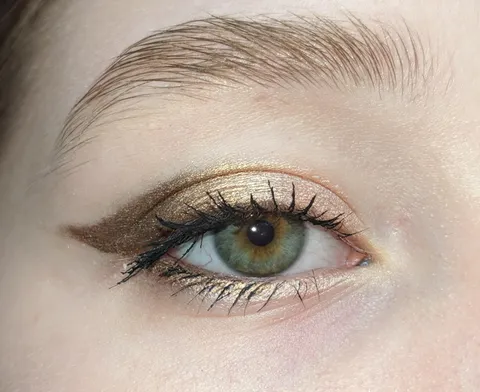 Chocolate Wing CCW