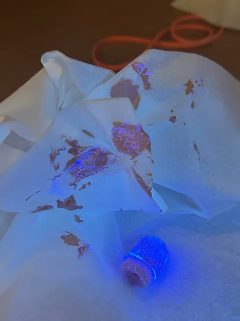 Maybelline age rewind applicator