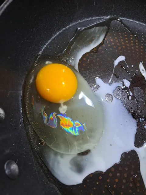 My eggs were iridescent this morning