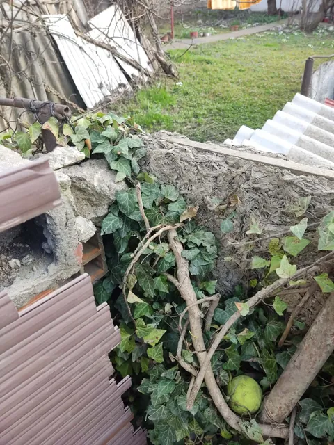 Just found out i have asbestos in my fence and my dog has been standing and scratching it for 2 years.