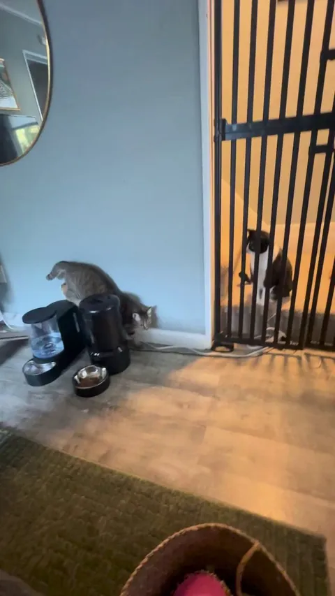 When can I have them together?