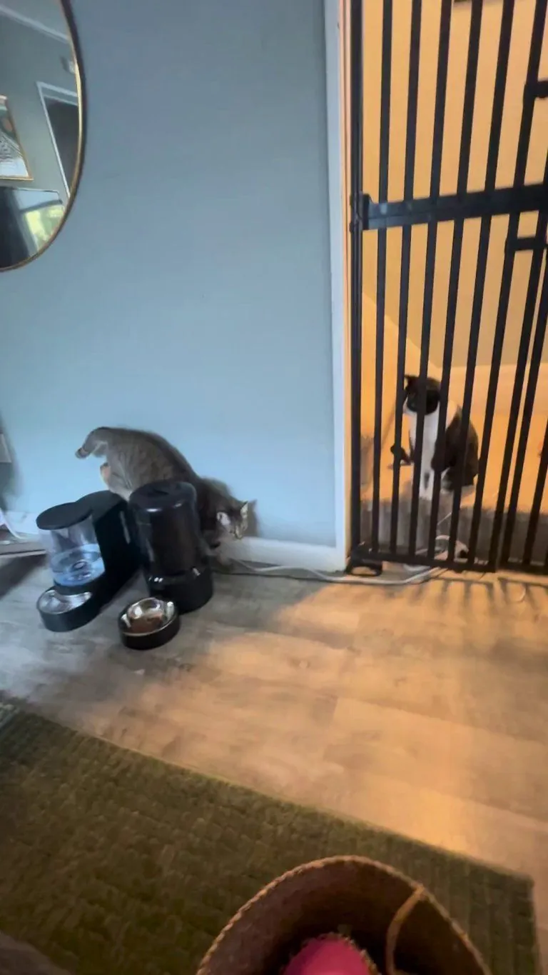 When can I have them together?